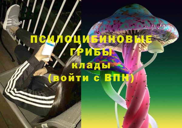 шишки Бугульма